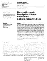 Electron microscopic investigation of muscle mitochondria in Chronic Fatigue Syndrome