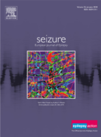Sybil’s Mind: Purple, Seizure: European Journal of Epilepsy, January 2018